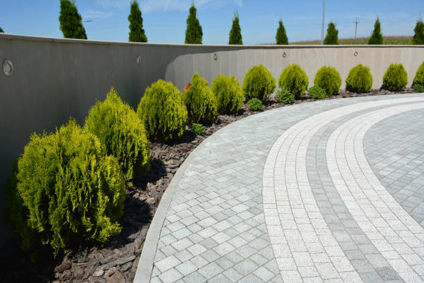 Best Best Driveway Pavers  in Fairview, MT